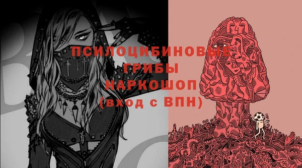 амф Алексин